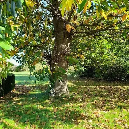 Le Ti'nid, Ideal Pour Un Sejour A 2 Holiday home