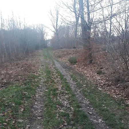 Holiday home Le Ti'nid, Ideal Pour Un Sejour A 2 Wanze